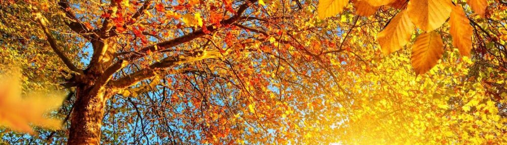 Relationship Specialists – Counseling and Coaching in Hillsboro, OR